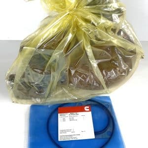 Cummins 4089251RX